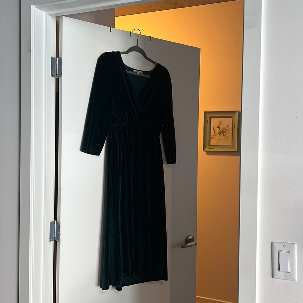 See and Be Seen Velvet midi dress, Size Small, Deep Green